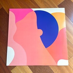 Vinyl Album Record LP Spirit Club by Slouch